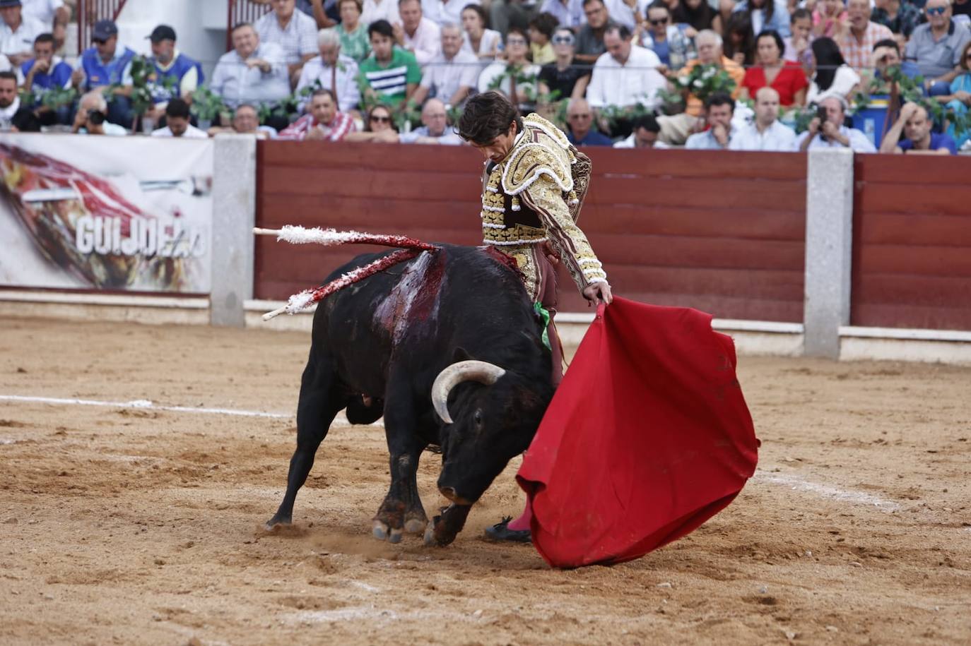 Las mejores imágenes del festejo de Talavante, Castella y Diosleguarde en Guijuelo