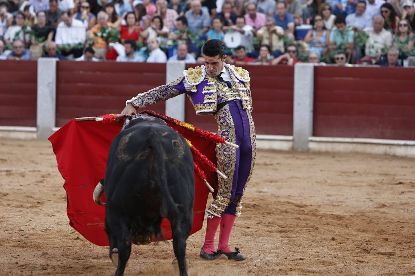 Las mejores imágenes del festejo de Talavante, Castella y Diosleguarde en Guijuelo