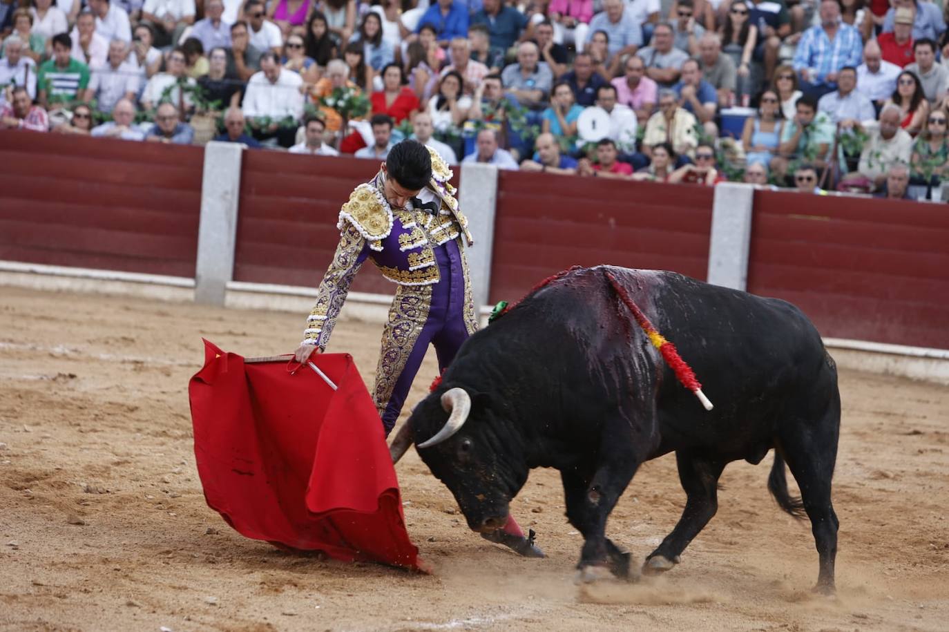 Las mejores imágenes del festejo de Talavante, Castella y Diosleguarde en Guijuelo