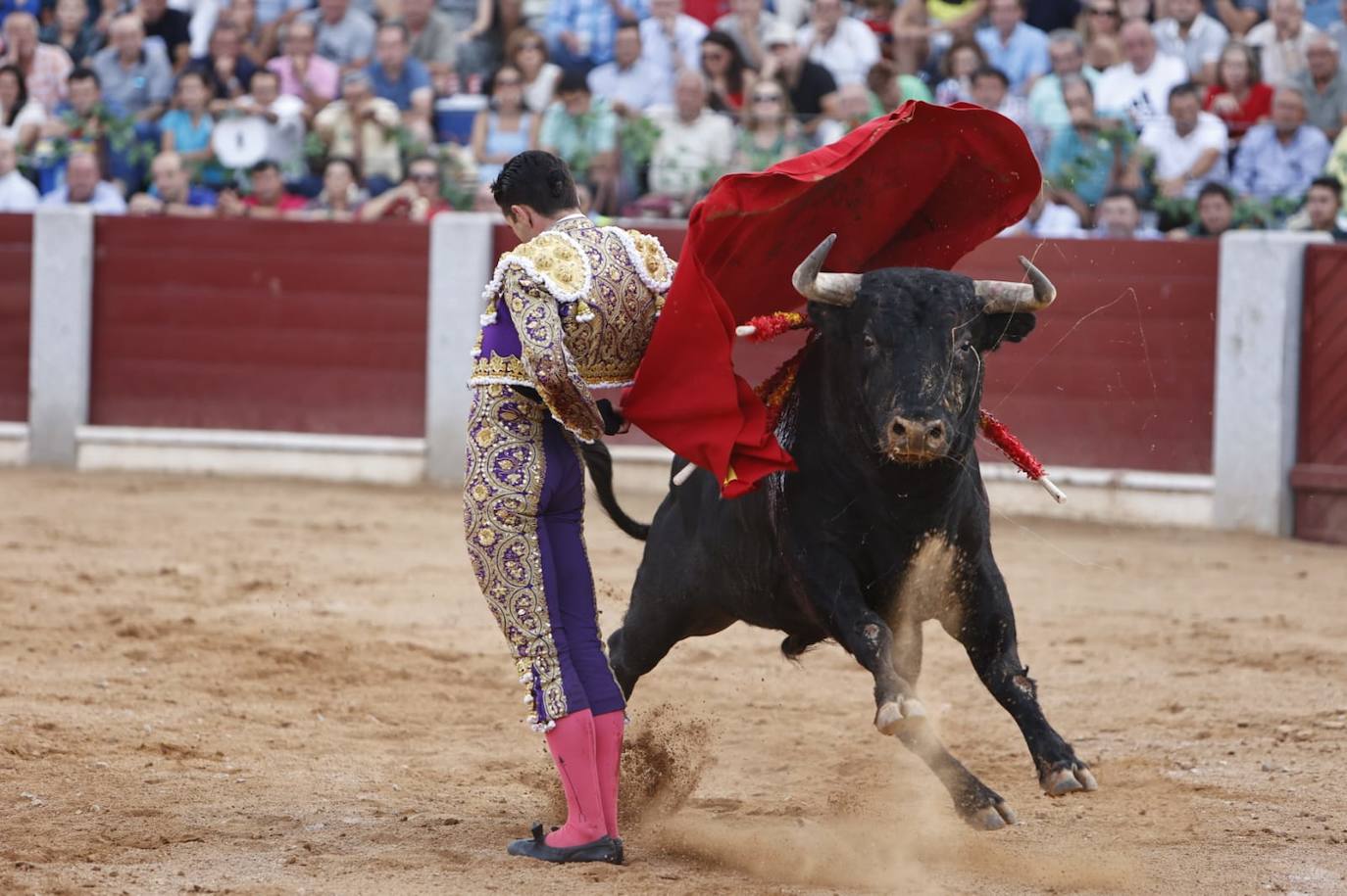 Las mejores imágenes del festejo de Talavante, Castella y Diosleguarde en Guijuelo