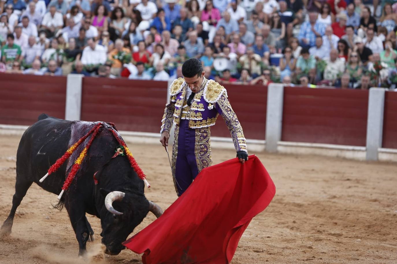 Las mejores imágenes del festejo de Talavante, Castella y Diosleguarde en Guijuelo