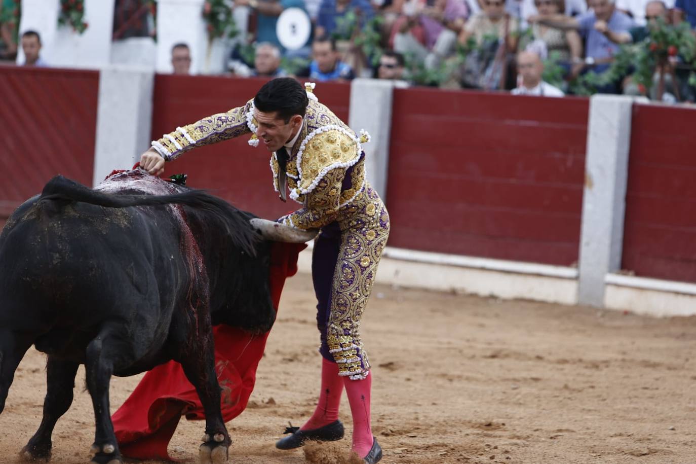 Las mejores imágenes del festejo de Talavante, Castella y Diosleguarde en Guijuelo