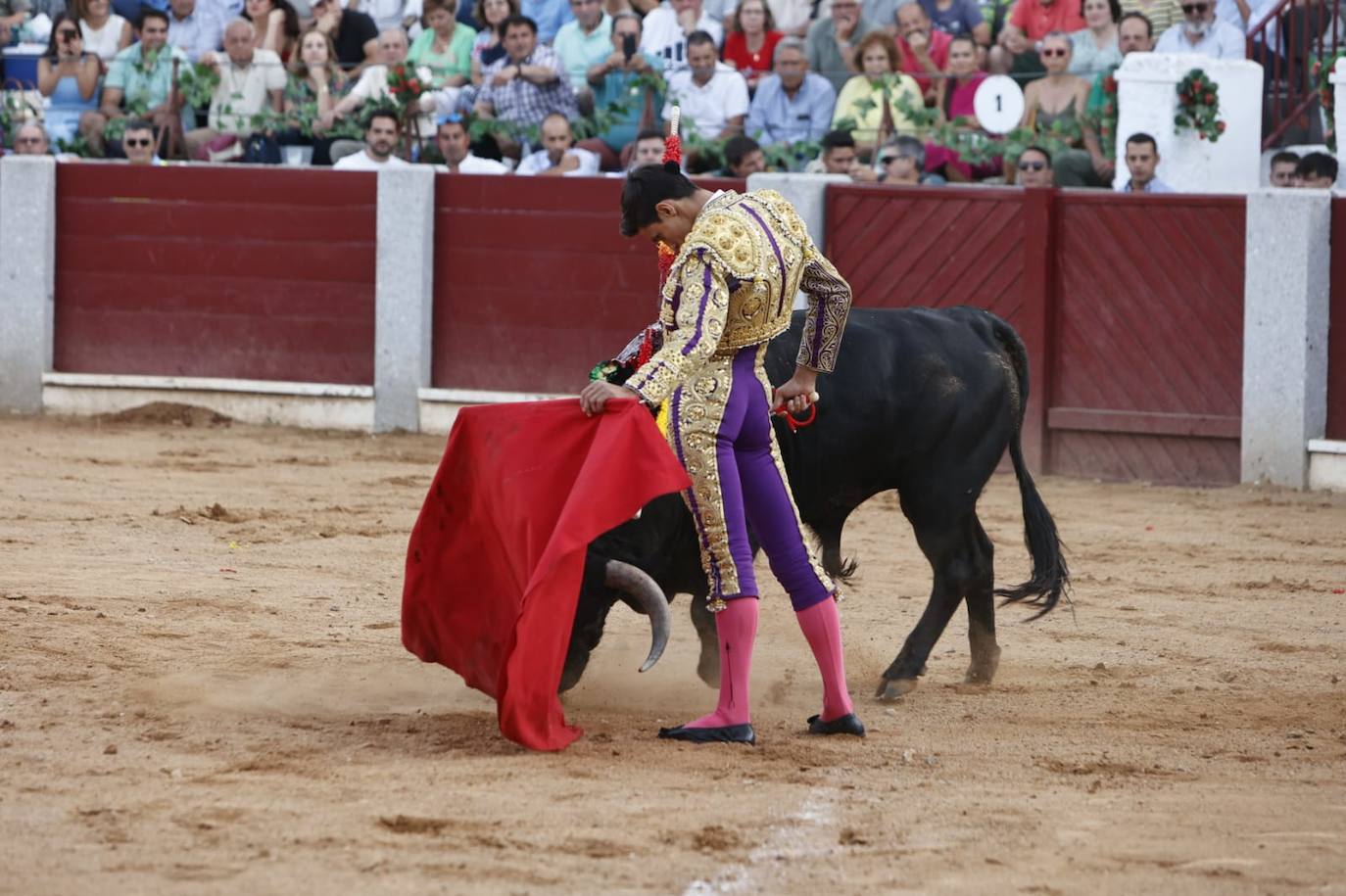 Las mejores imágenes del festejo de Talavante, Castella y Diosleguarde en Guijuelo