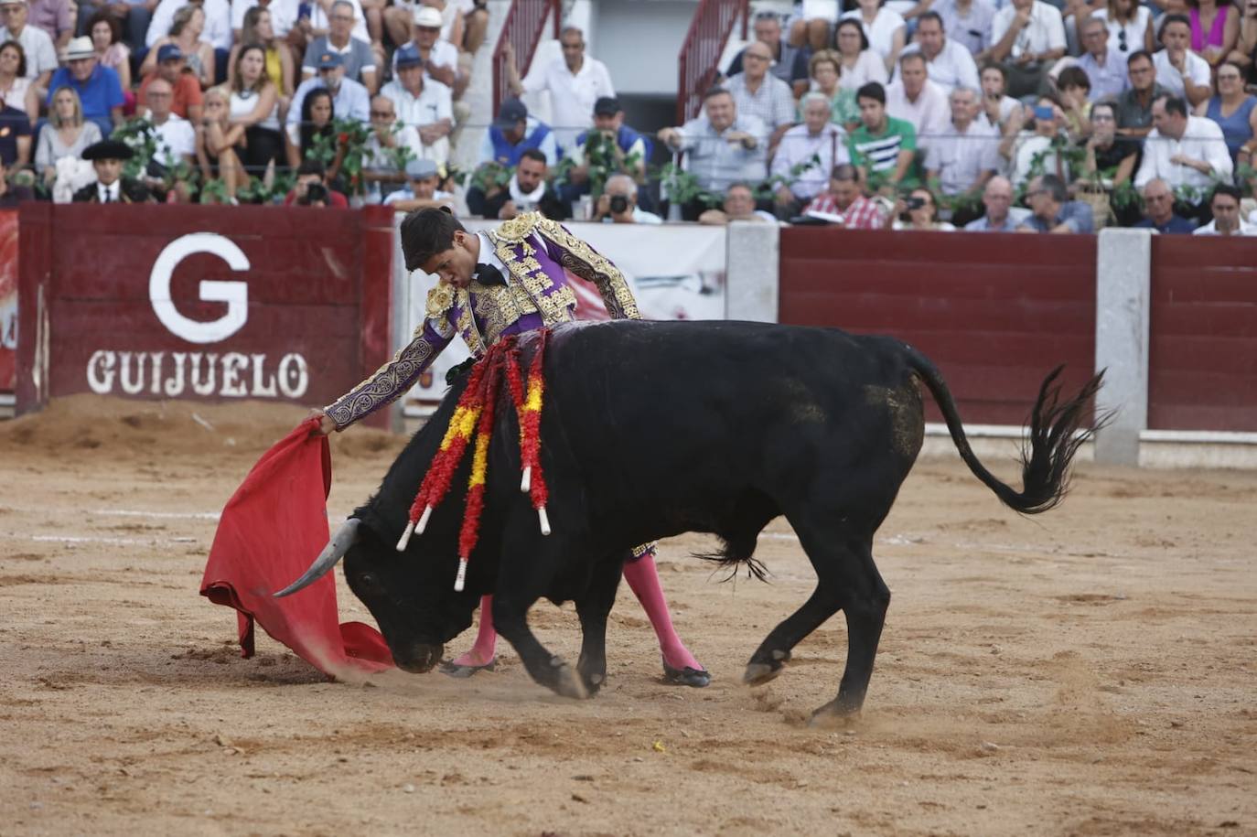 Las mejores imágenes del festejo de Talavante, Castella y Diosleguarde en Guijuelo