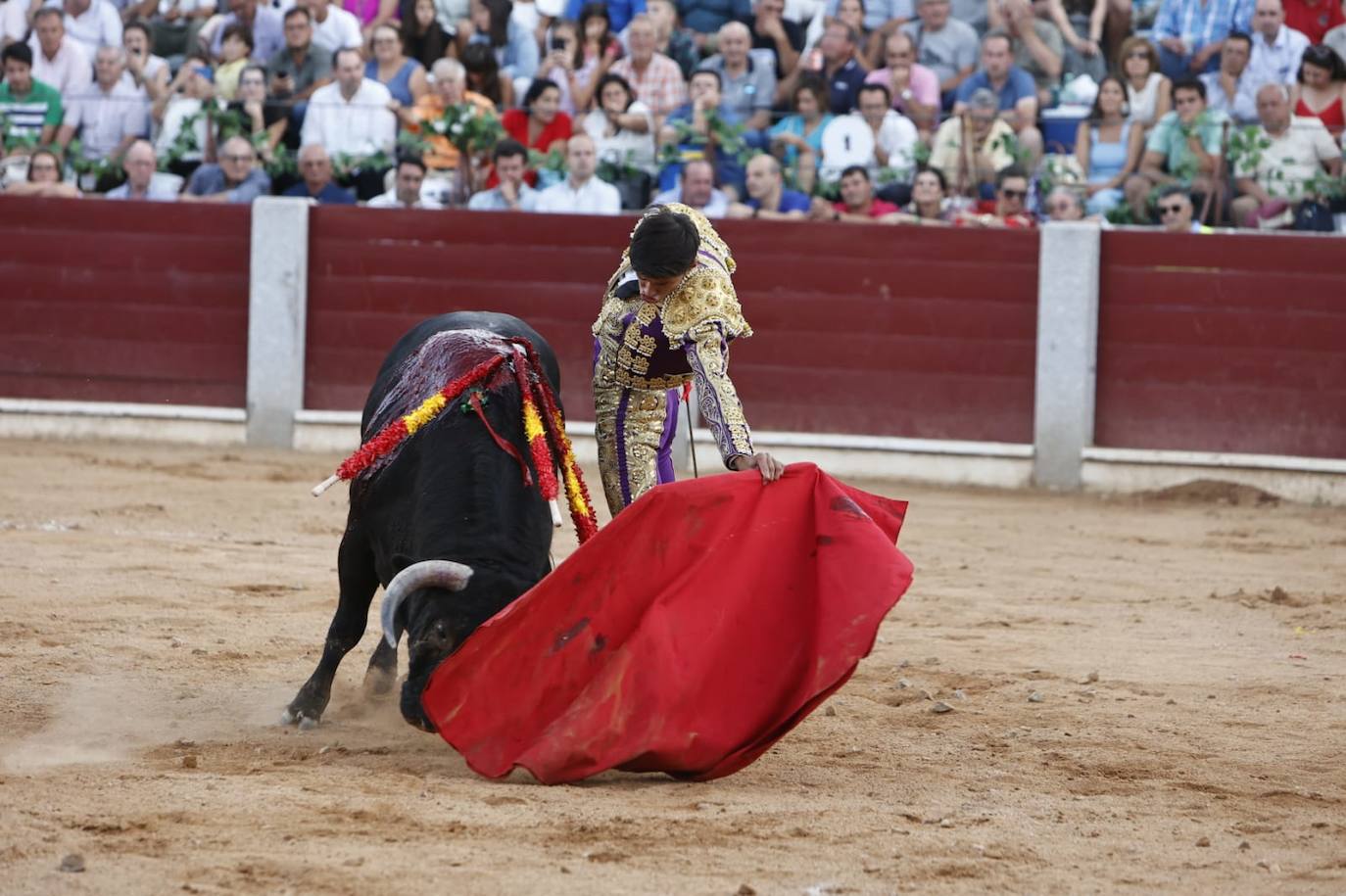 Las mejores imágenes del festejo de Talavante, Castella y Diosleguarde en Guijuelo