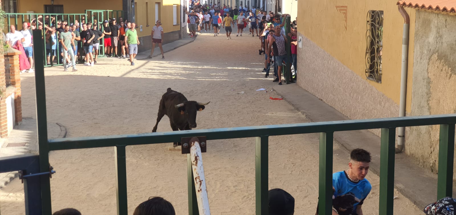 Calzada de Valdunciel disfruta al máximo con el encierro urbano