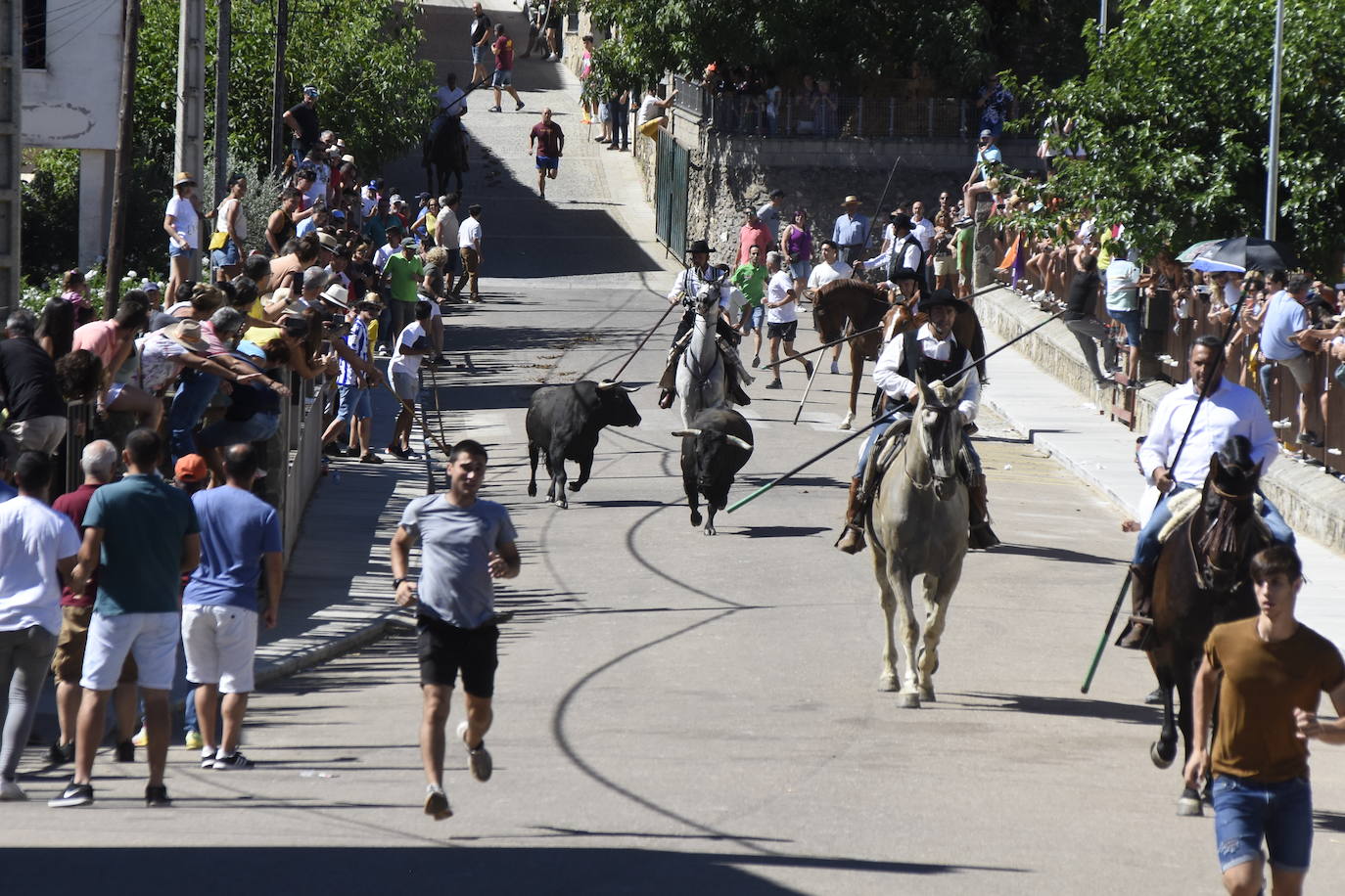 Herido un caballo en un deslavazado y largo tercer encierro guinaldés