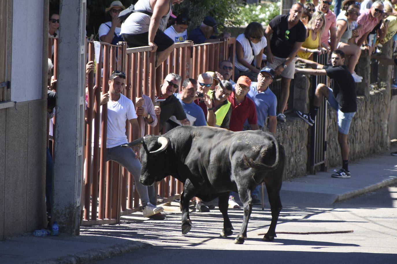 Herido un caballo en un deslavazado y largo tercer encierro guinaldés