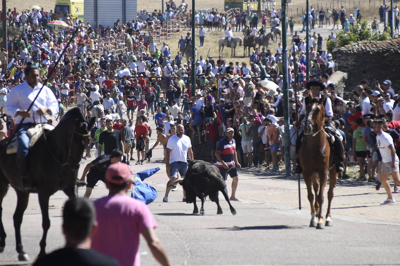 Herido un caballo en un deslavazado y largo tercer encierro guinaldés