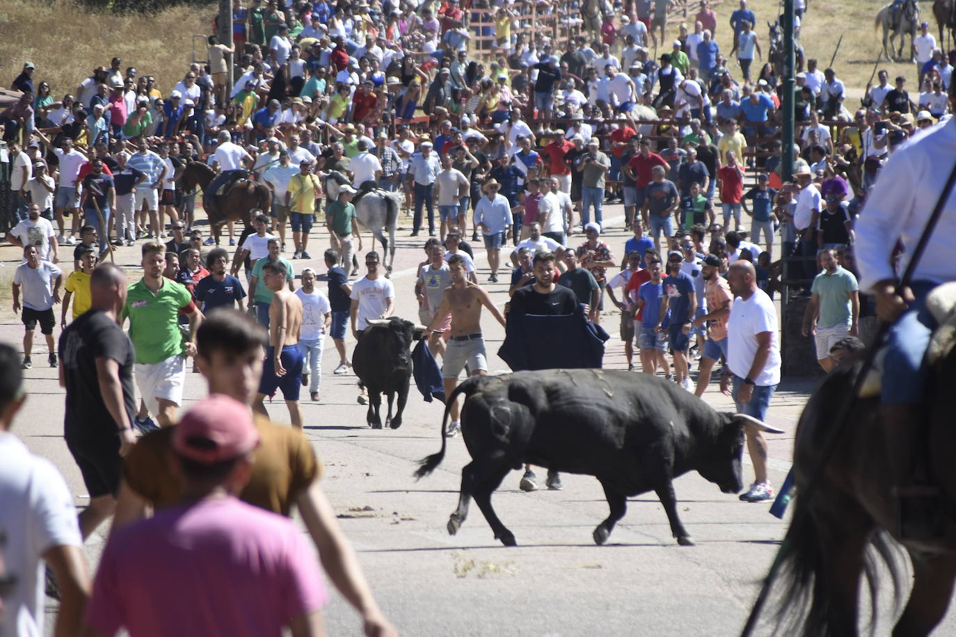 Herido un caballo en un deslavazado y largo tercer encierro guinaldés