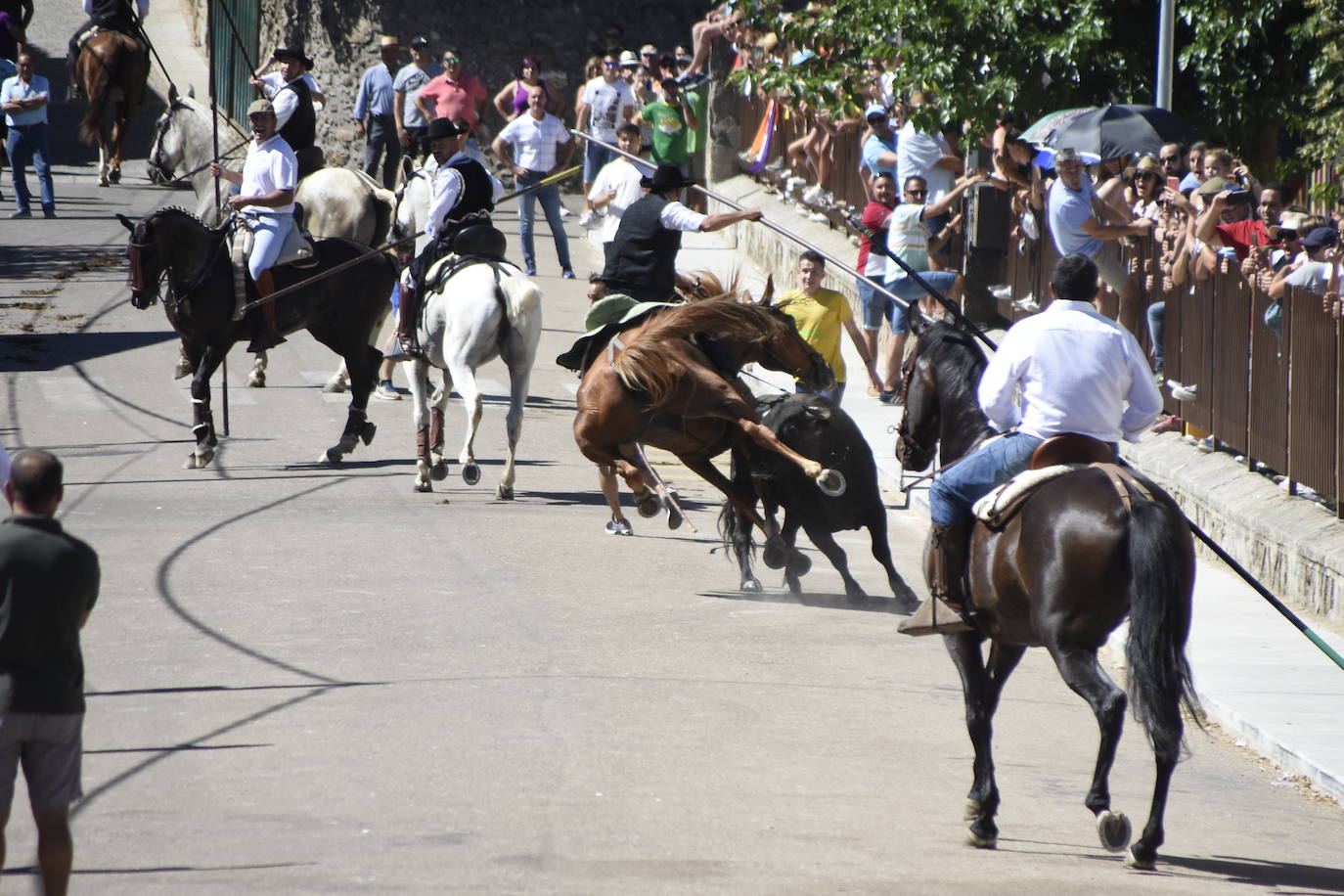 Herido un caballo en un deslavazado y largo tercer encierro guinaldés