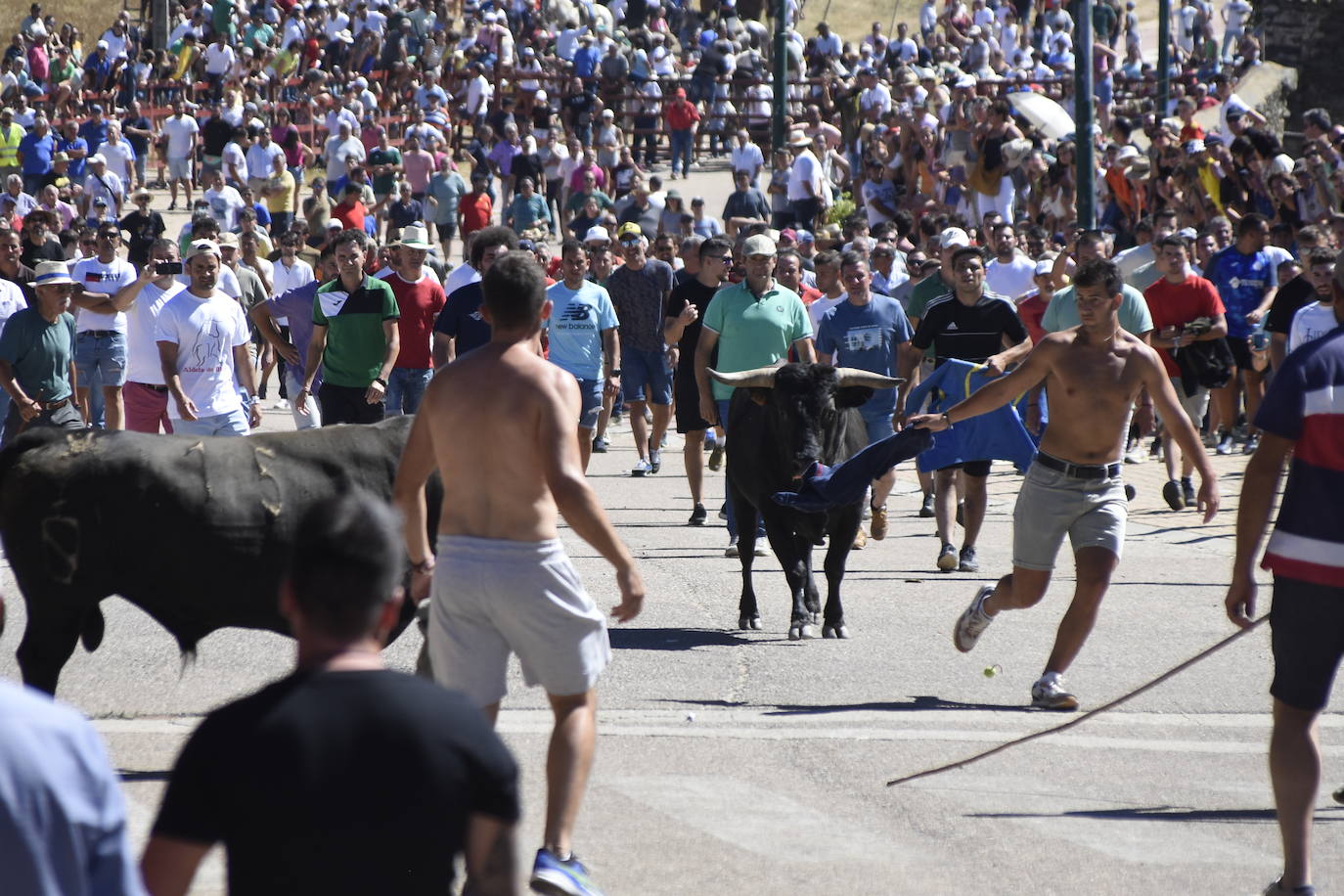 Herido un caballo en un deslavazado y largo tercer encierro guinaldés