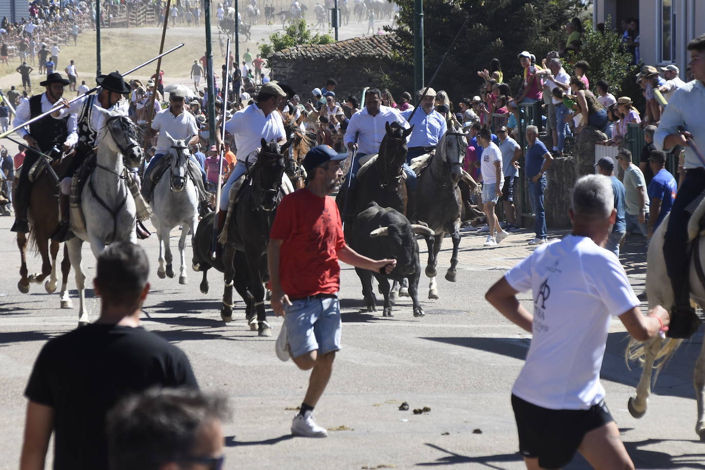 Herido un caballo en un deslavazado y largo tercer encierro guinaldés