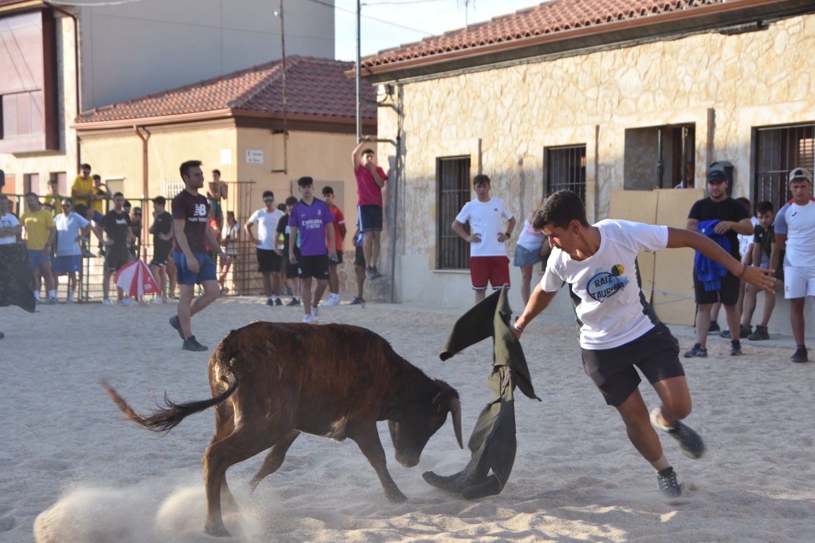 Aldeanueva vive sus festejos taurinos al estilo tradicional