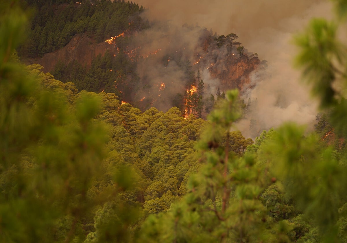 Foto del incendio de Tenerife.