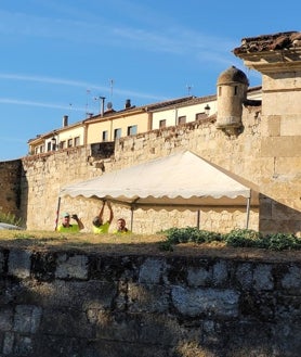 Imagen secundaria 2 - La exposición «Titiriteros» se puede ver en la Casa de Cultura, sede de la oficina de atención al profesional de la Feria de Teatro que llega ya a todos los puntos de Ciudad Rodrigo