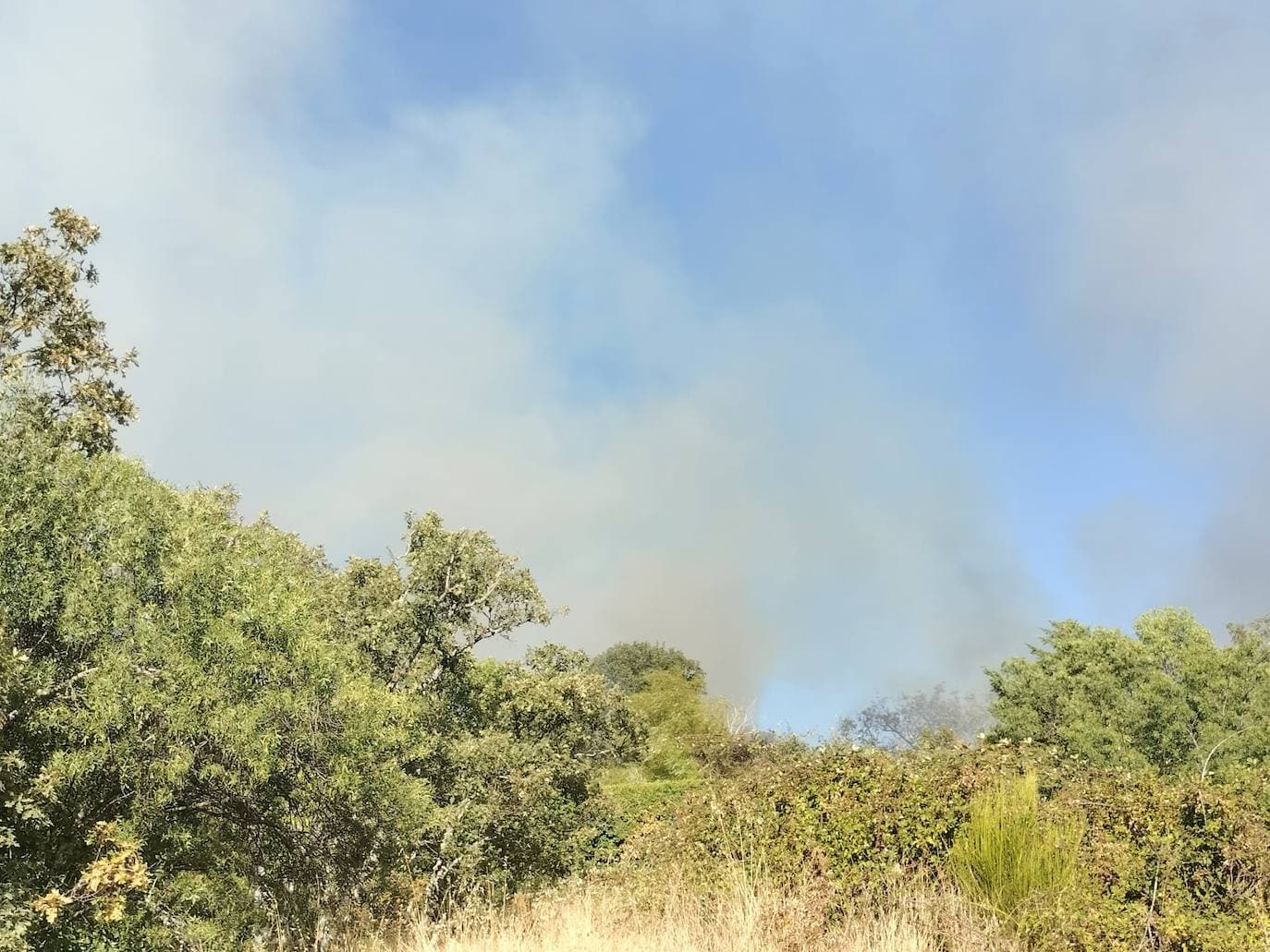 Las imágenes del incendio que asustó a los vecinos de Navacarros y Vallejera