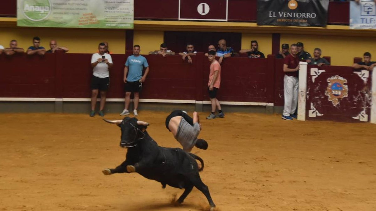 Un herido en el encierro de Alba tras ser embestido y lanzado contra el vallado