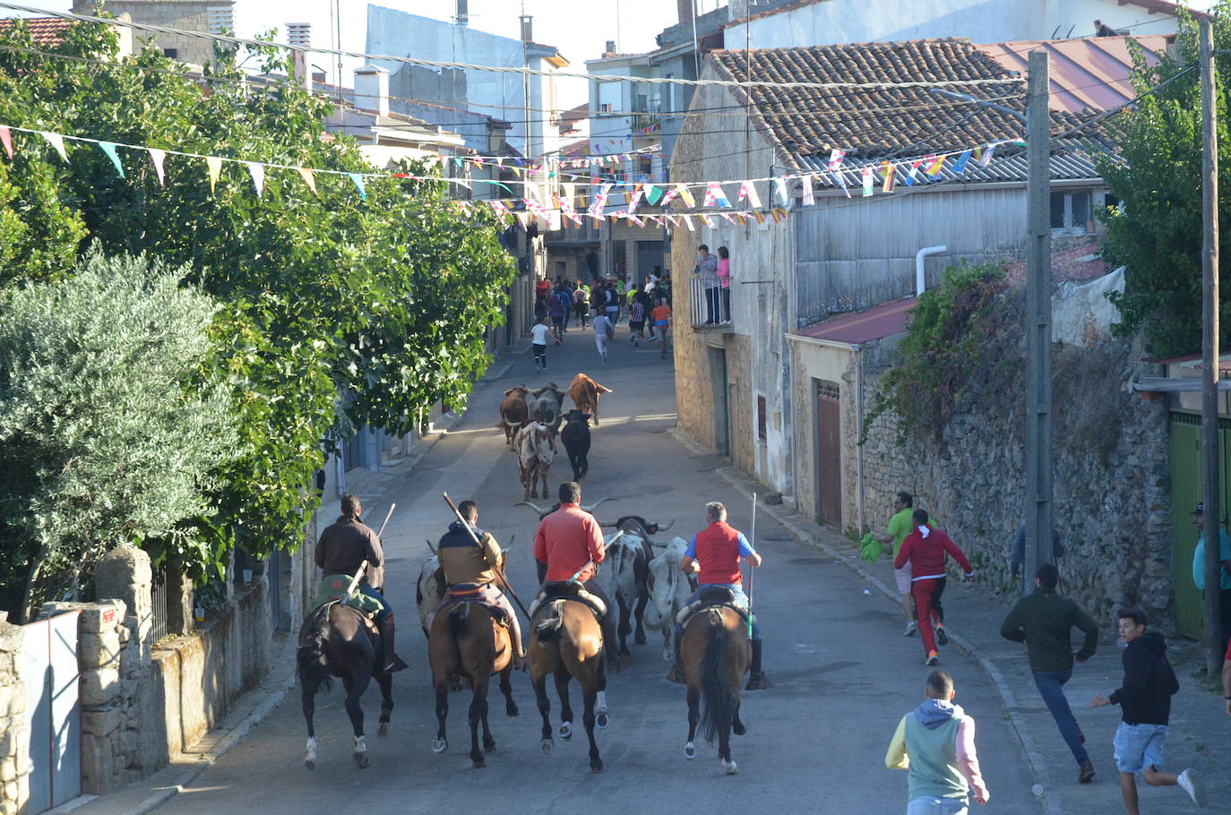 Precisión milimétrica en el penúltimo encierro a caballo de Aldeadávila de la Ribera