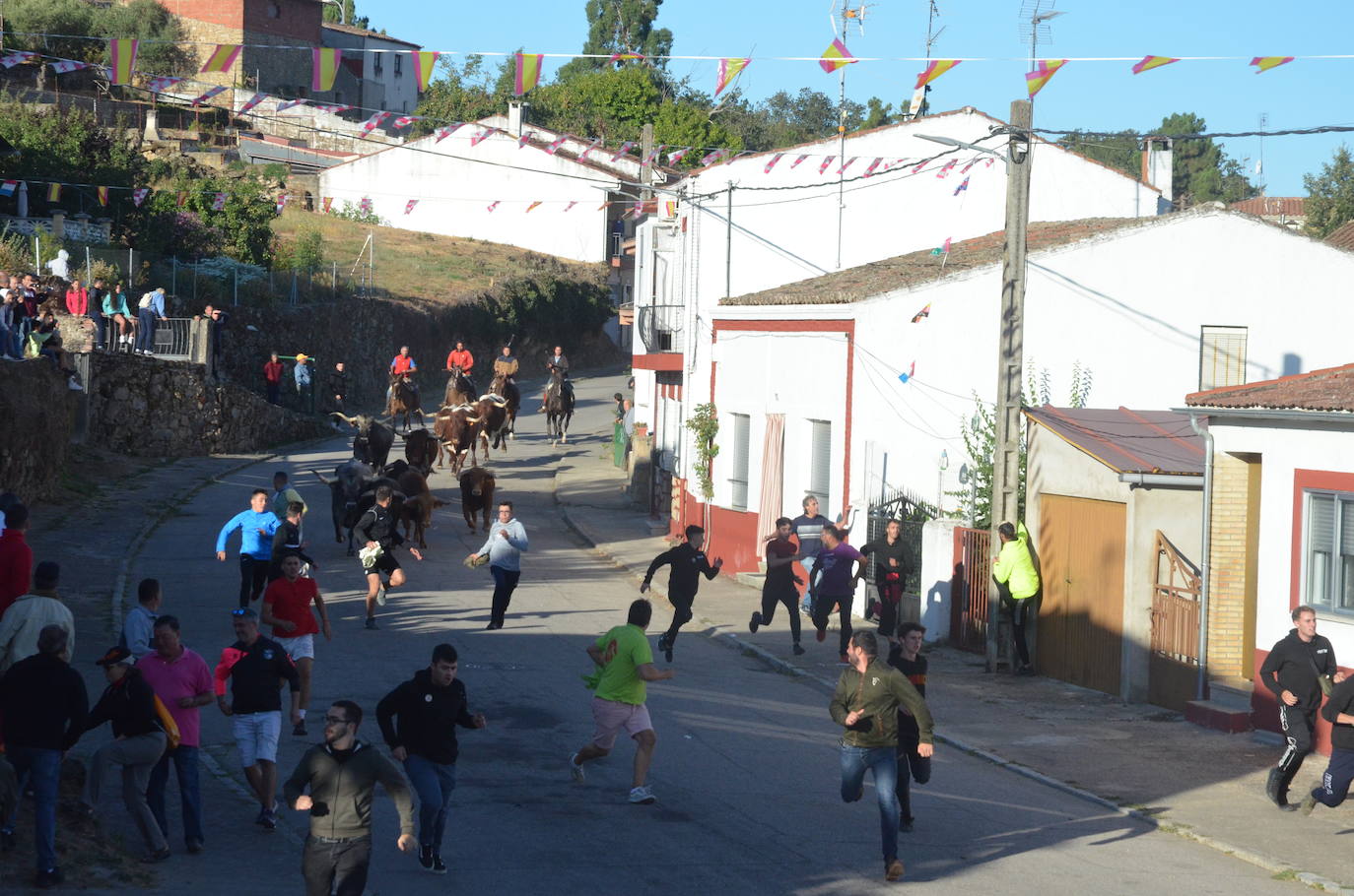 Precisión milimétrica en el penúltimo encierro a caballo de Aldeadávila de la Ribera