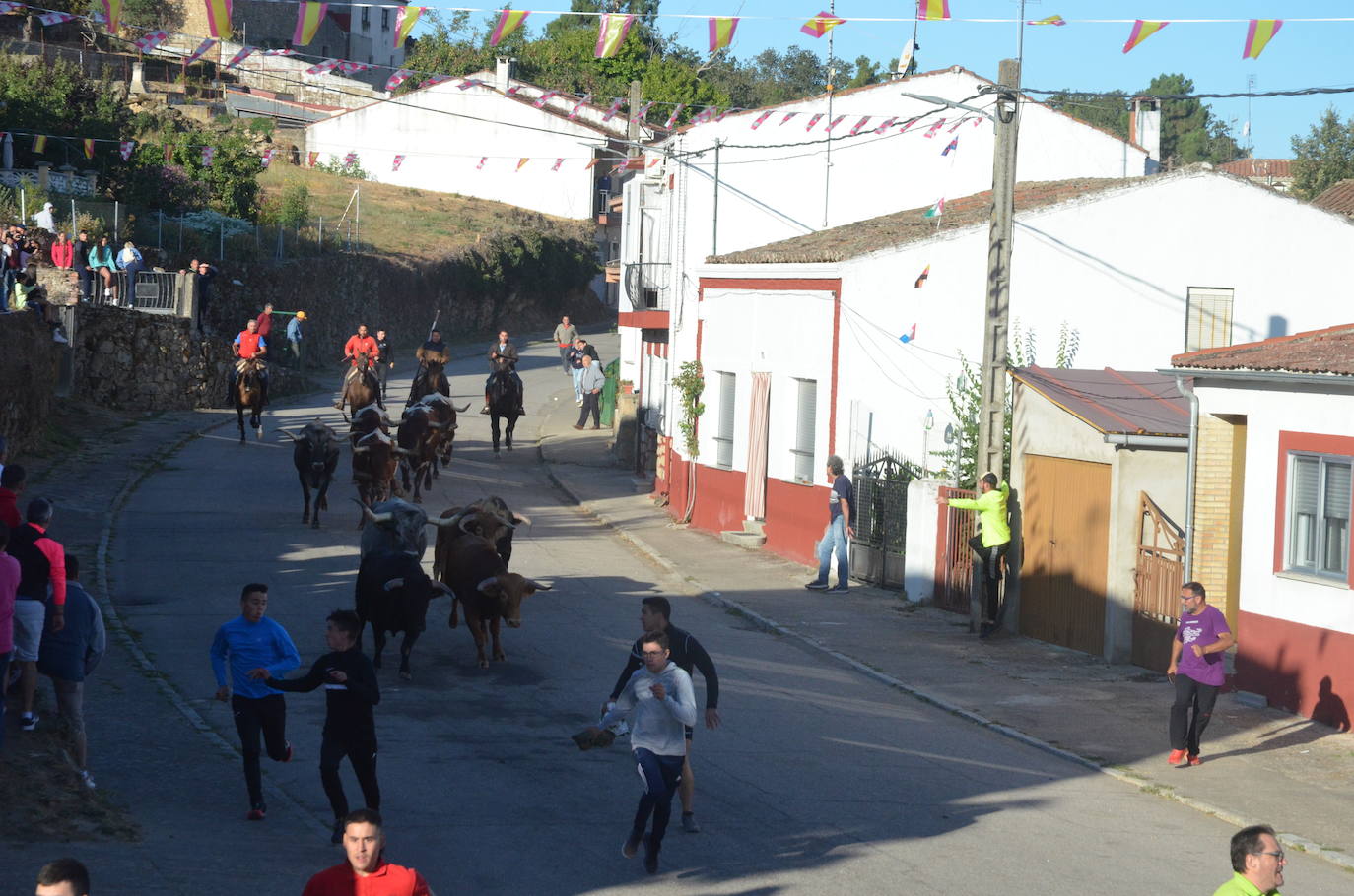 Precisión milimétrica en el penúltimo encierro a caballo de Aldeadávila de la Ribera