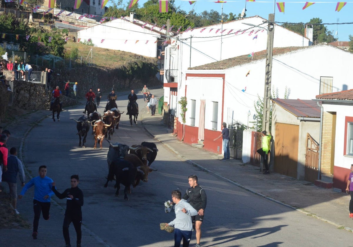 Precisión milimétrica en el penúltimo encierro a caballo de Aldeadávila de la Ribera