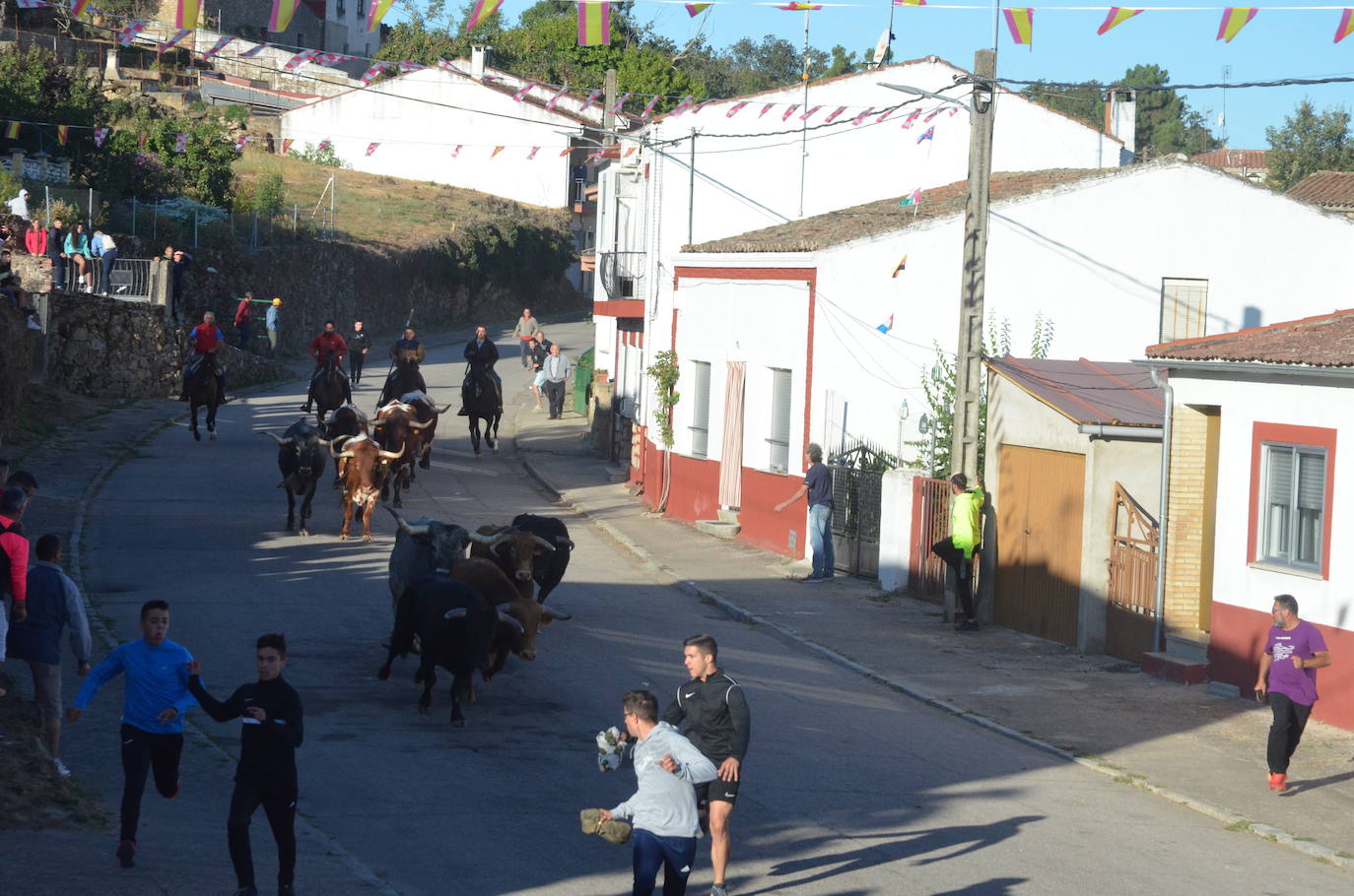 Precisión milimétrica en el penúltimo encierro a caballo de Aldeadávila de la Ribera