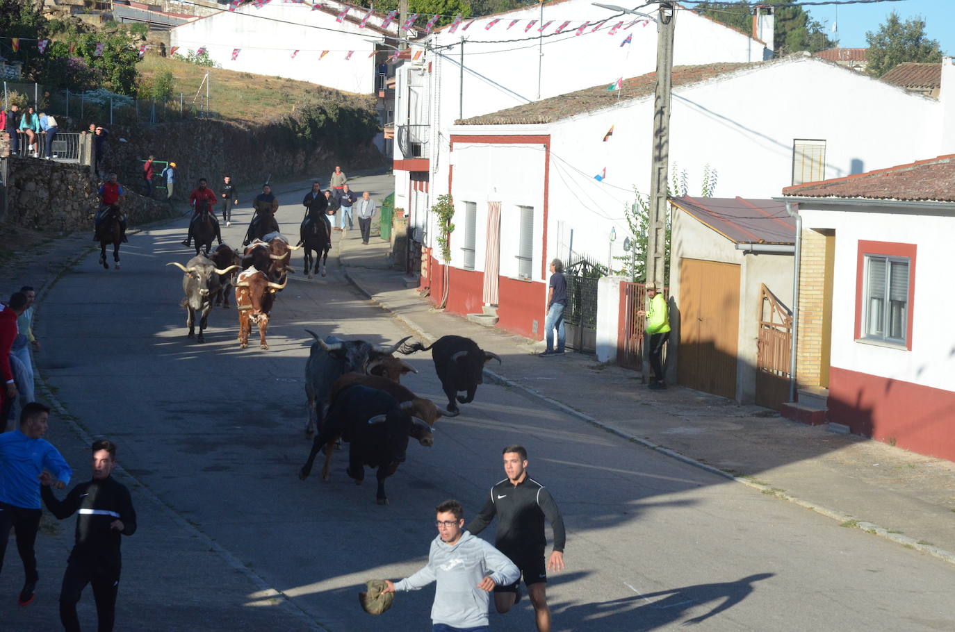 Precisión milimétrica en el penúltimo encierro a caballo de Aldeadávila de la Ribera