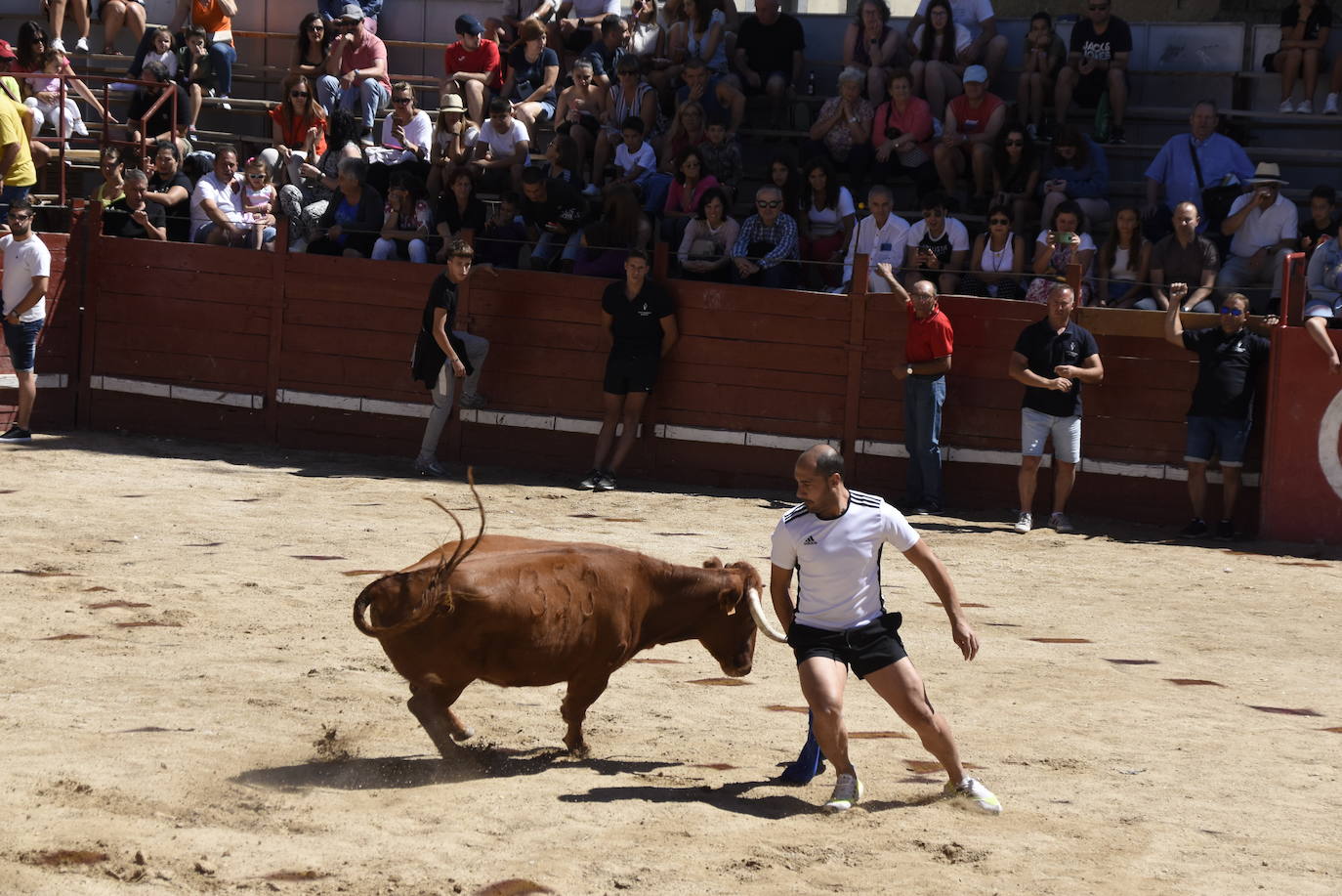 Día grande y muy taurino en Villavieja de Yeltes