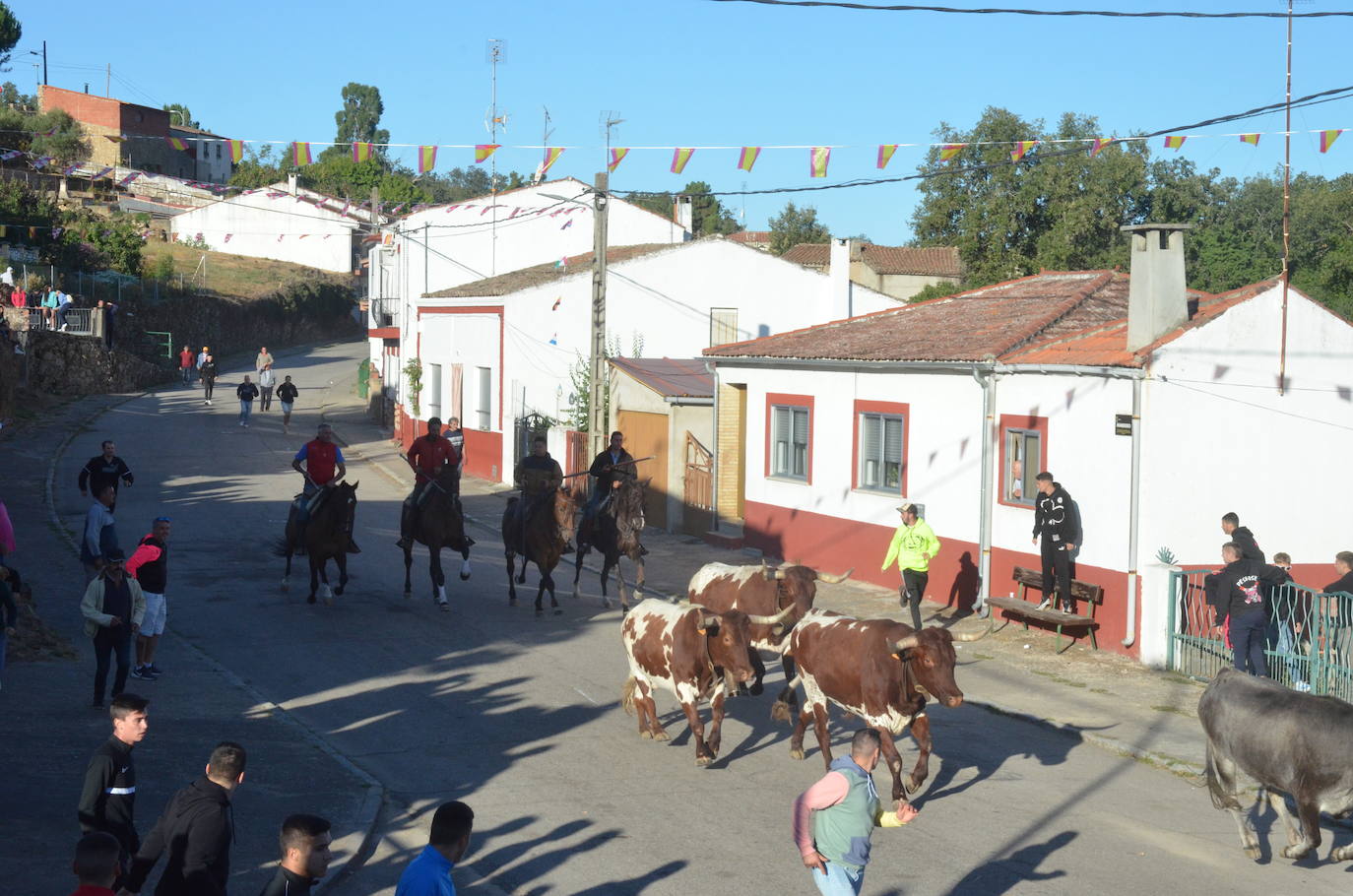 Precisión milimétrica en el penúltimo encierro a caballo de Aldeadávila de la Ribera