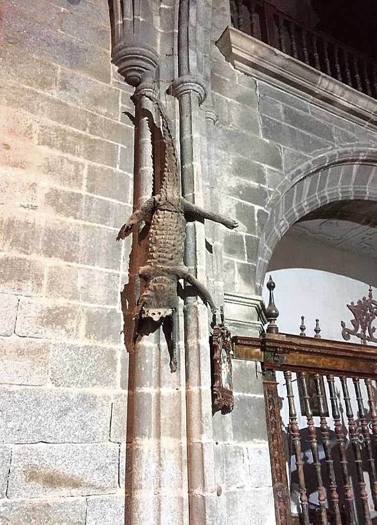 El gran cocodrilo disecado sobre la columna de la iglesia.