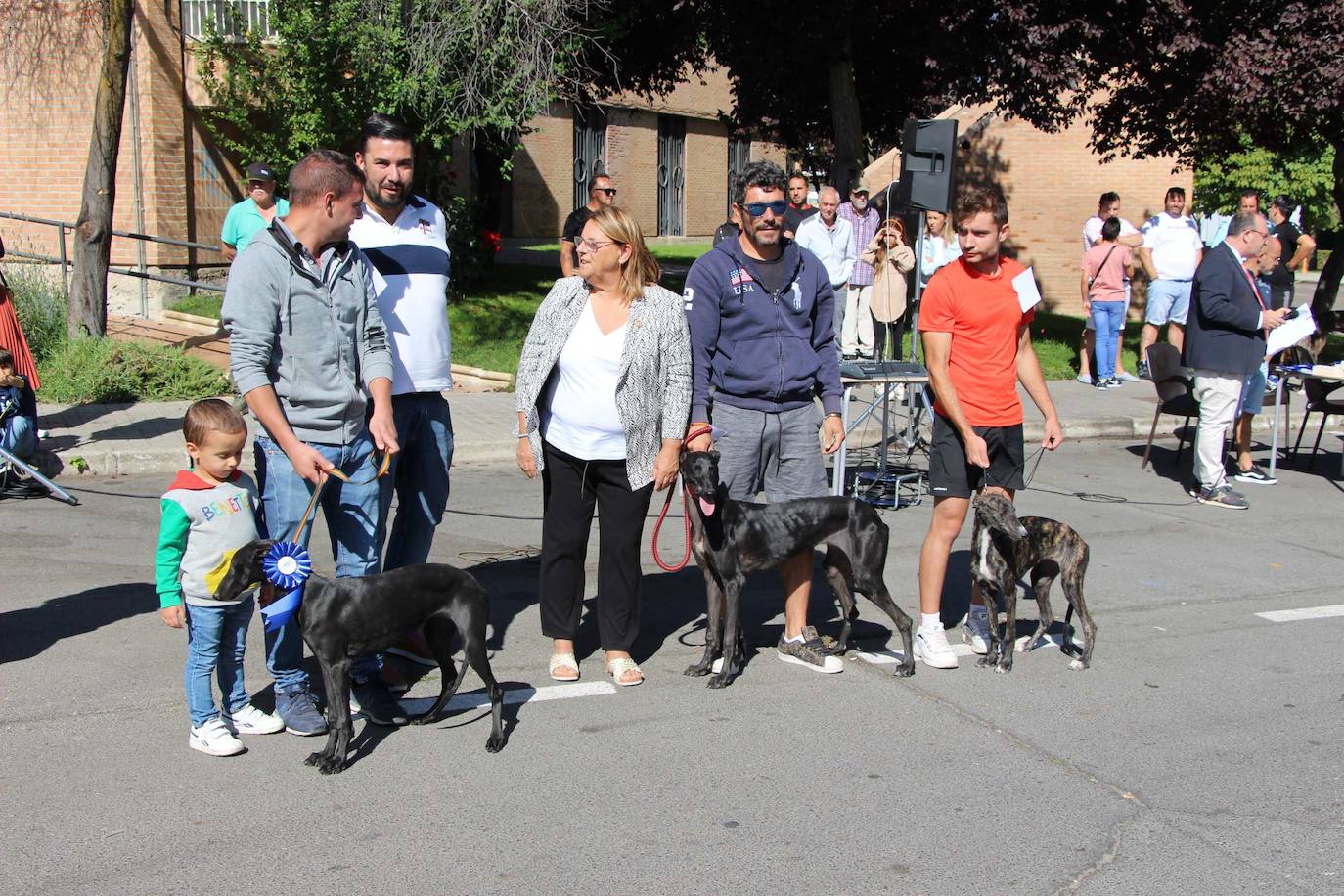 El galgo español más perfecto se cita en Peñaranda