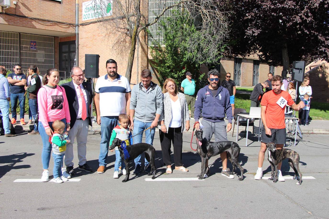 El galgo español más perfecto se cita en Peñaranda