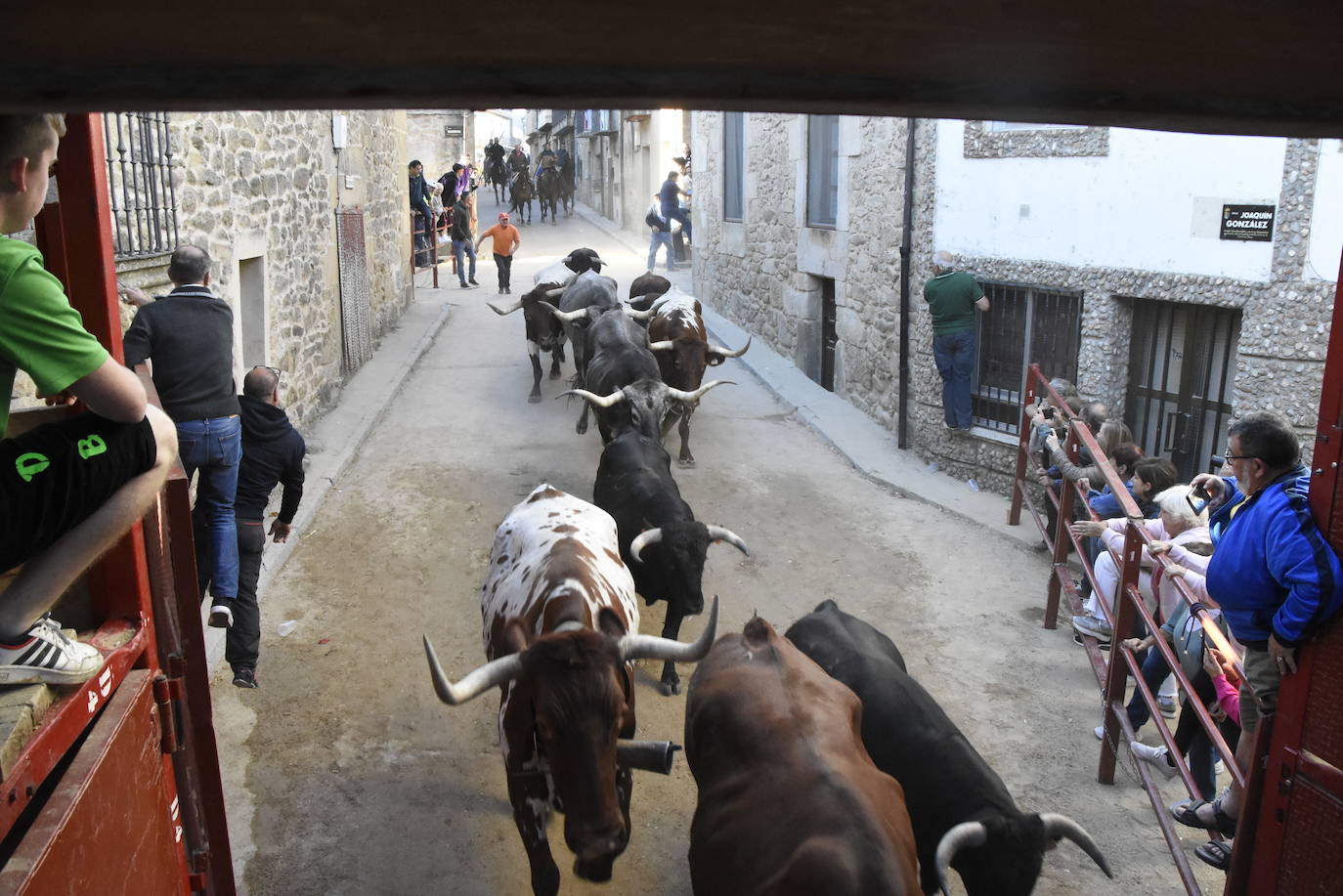 Las incombustibles peñas de Aldeadávila de la Ribera despiden las fiestas de San Bartolo