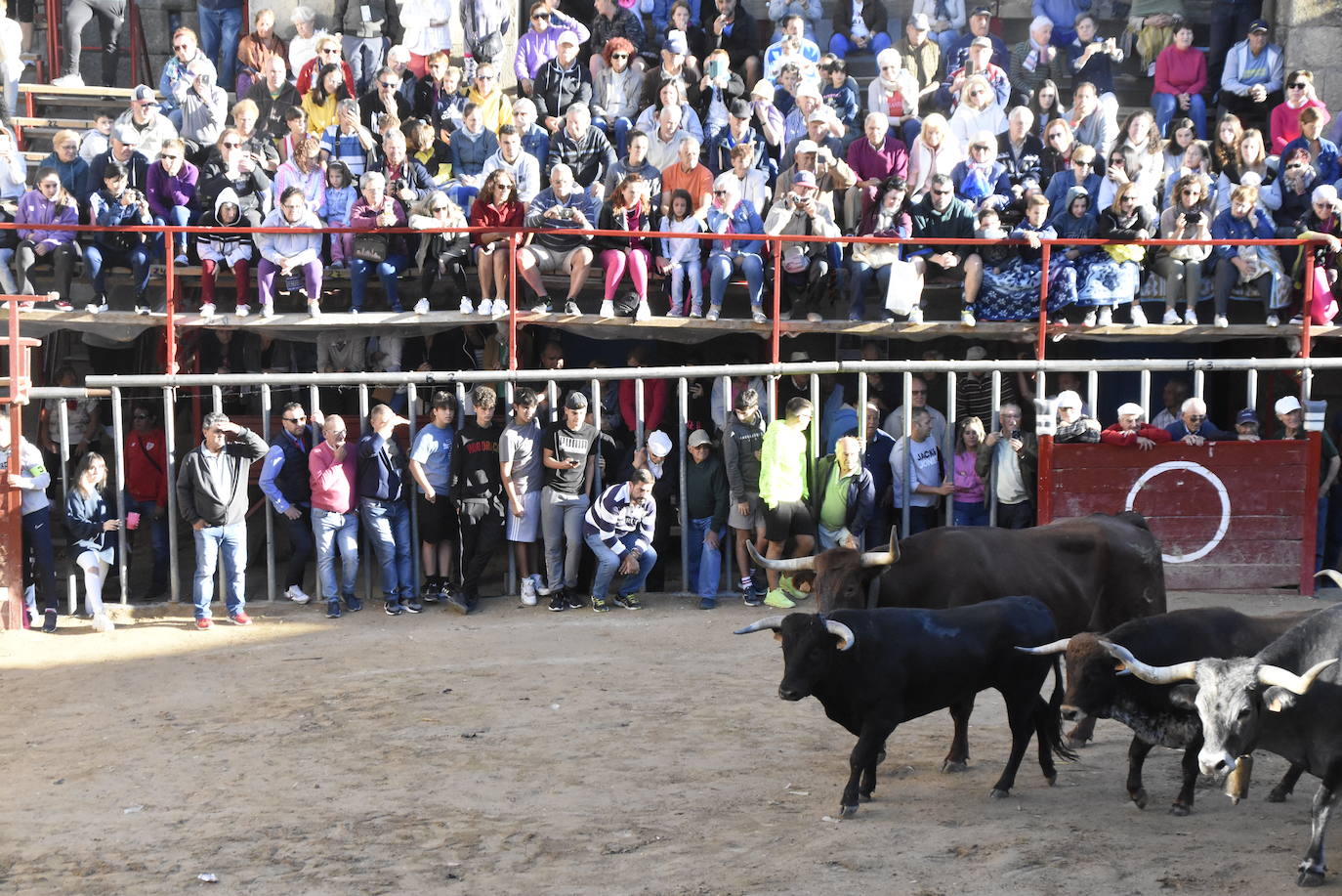 Las incombustibles peñas de Aldeadávila de la Ribera despiden las fiestas de San Bartolo