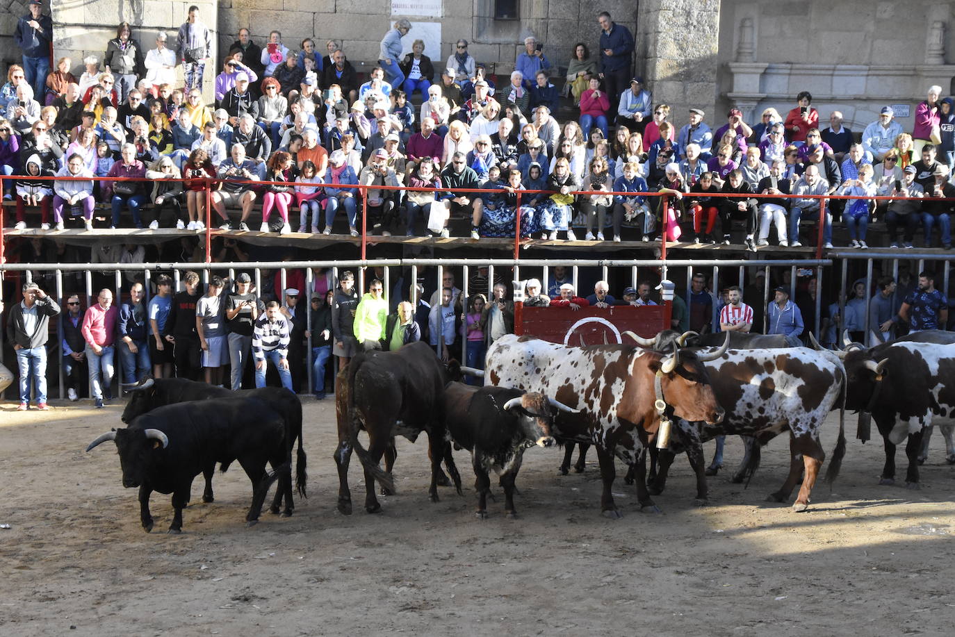 Las incombustibles peñas de Aldeadávila de la Ribera despiden las fiestas de San Bartolo