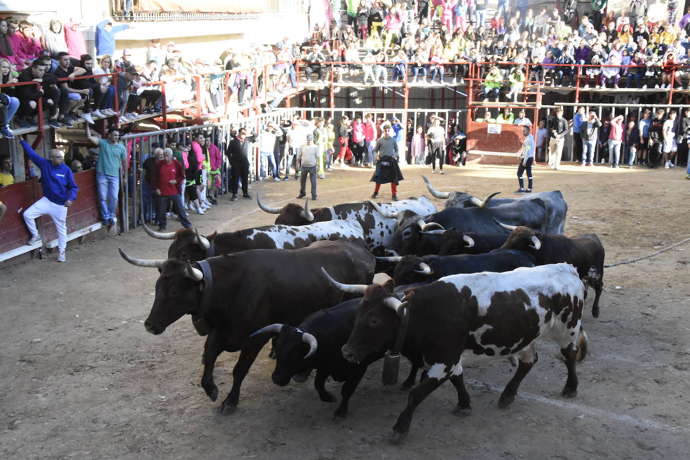 Las incombustibles peñas de Aldeadávila de la Ribera despiden las fiestas de San Bartolo