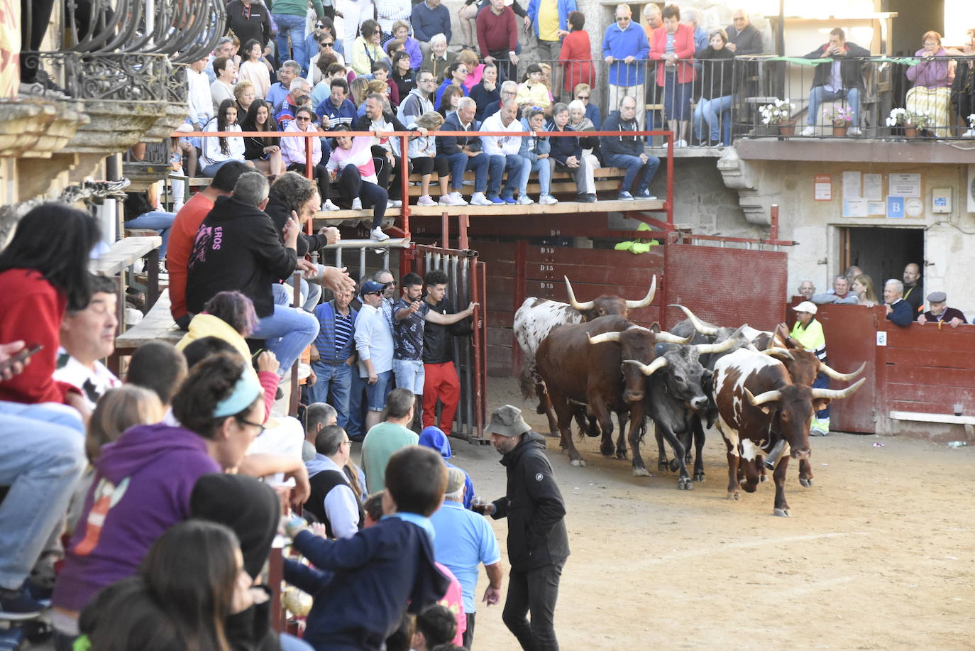 Las incombustibles peñas de Aldeadávila de la Ribera despiden las fiestas de San Bartolo