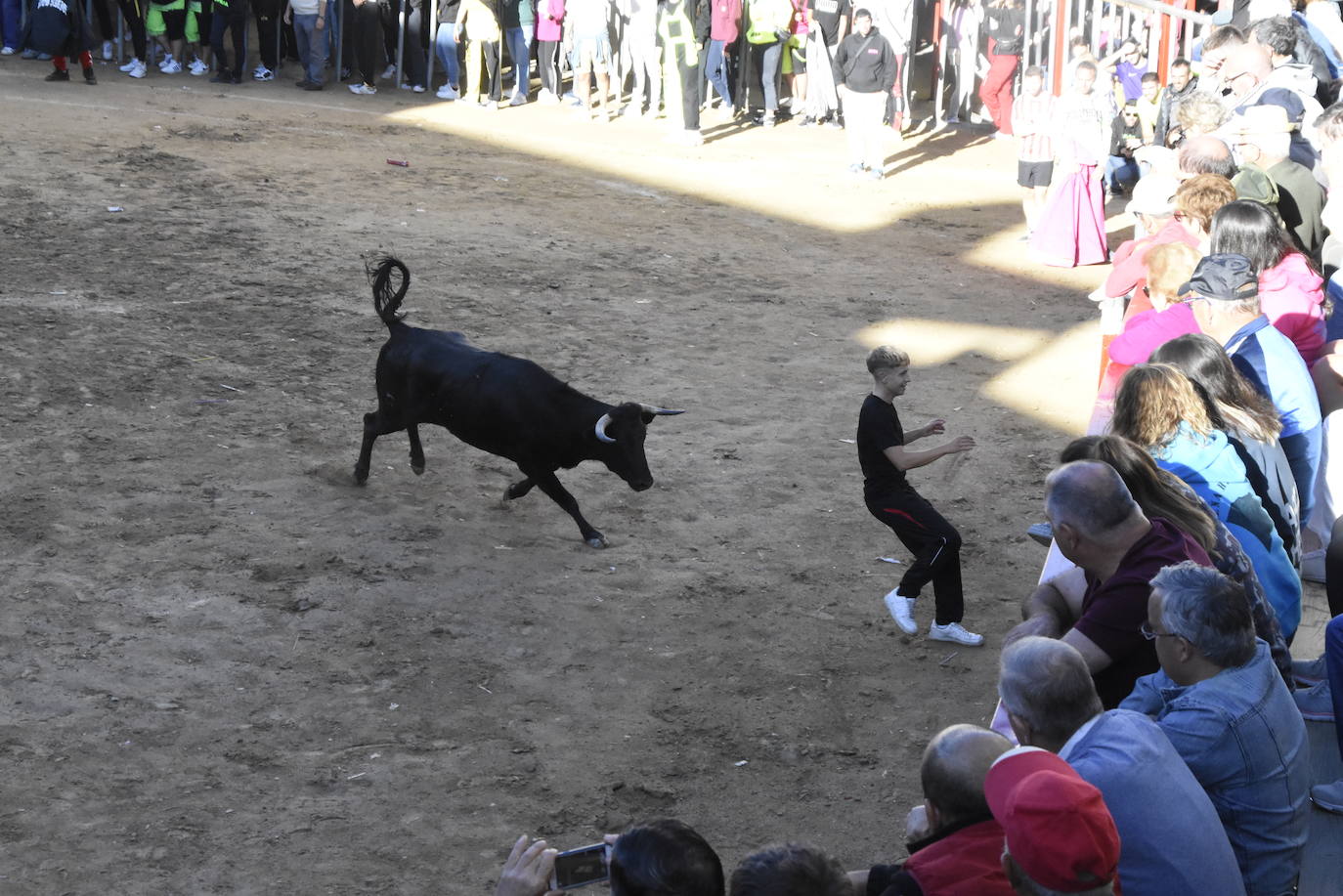 Las incombustibles peñas de Aldeadávila de la Ribera despiden las fiestas de San Bartolo