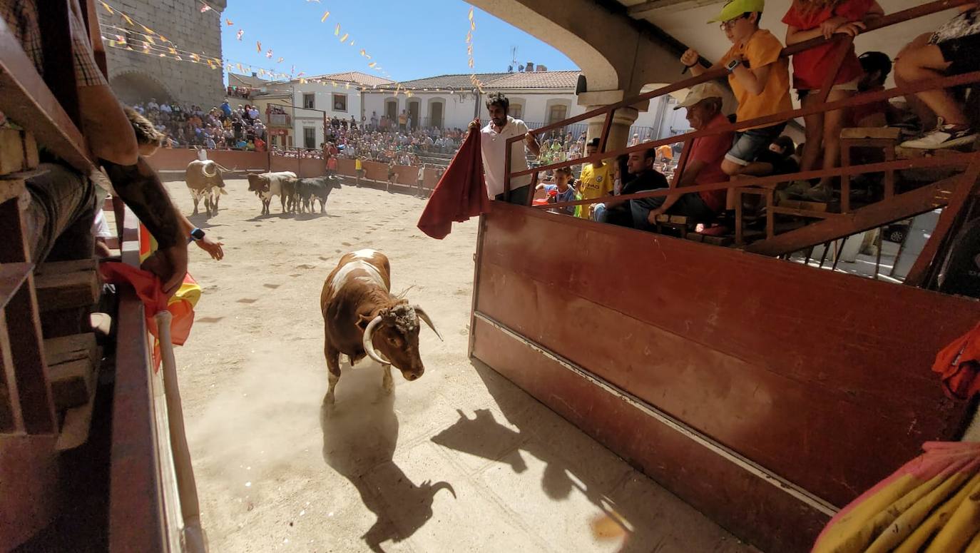 Honores, devoción y afición en Villavieja de Yeltes