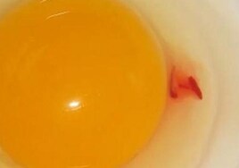 Huevo con punto rojo.