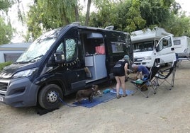 Unos turistas con sus perros frente a su caravana en un camping de la ciudad.