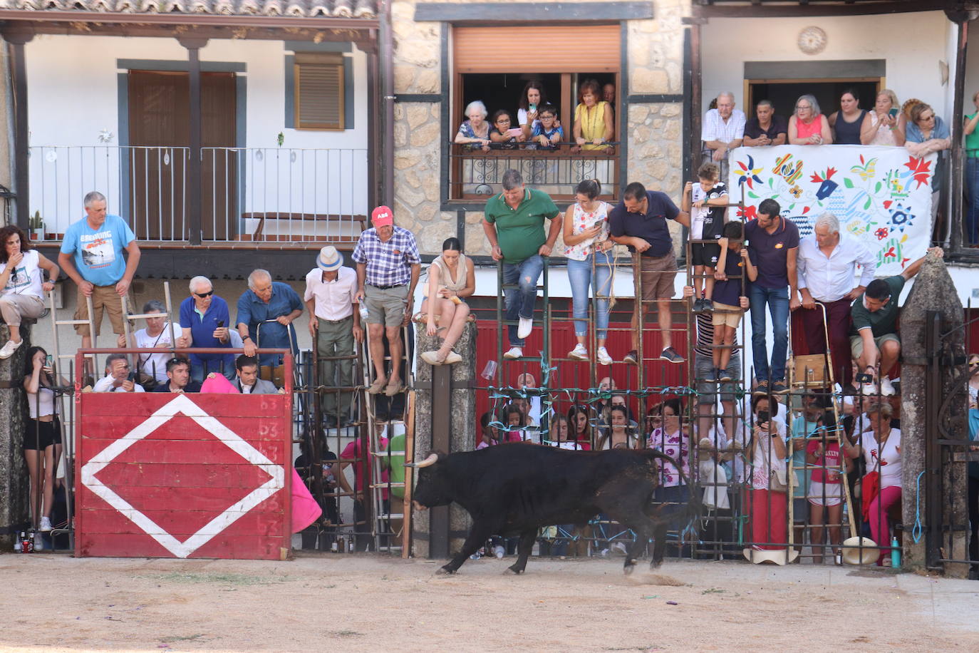 Los toros y la tradición despiden la fiesta en Santibáñez de la Sierra