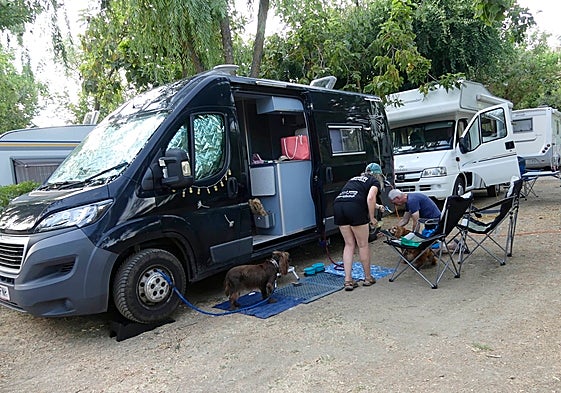 Dos turistas extranjeros en un camping salmantino.