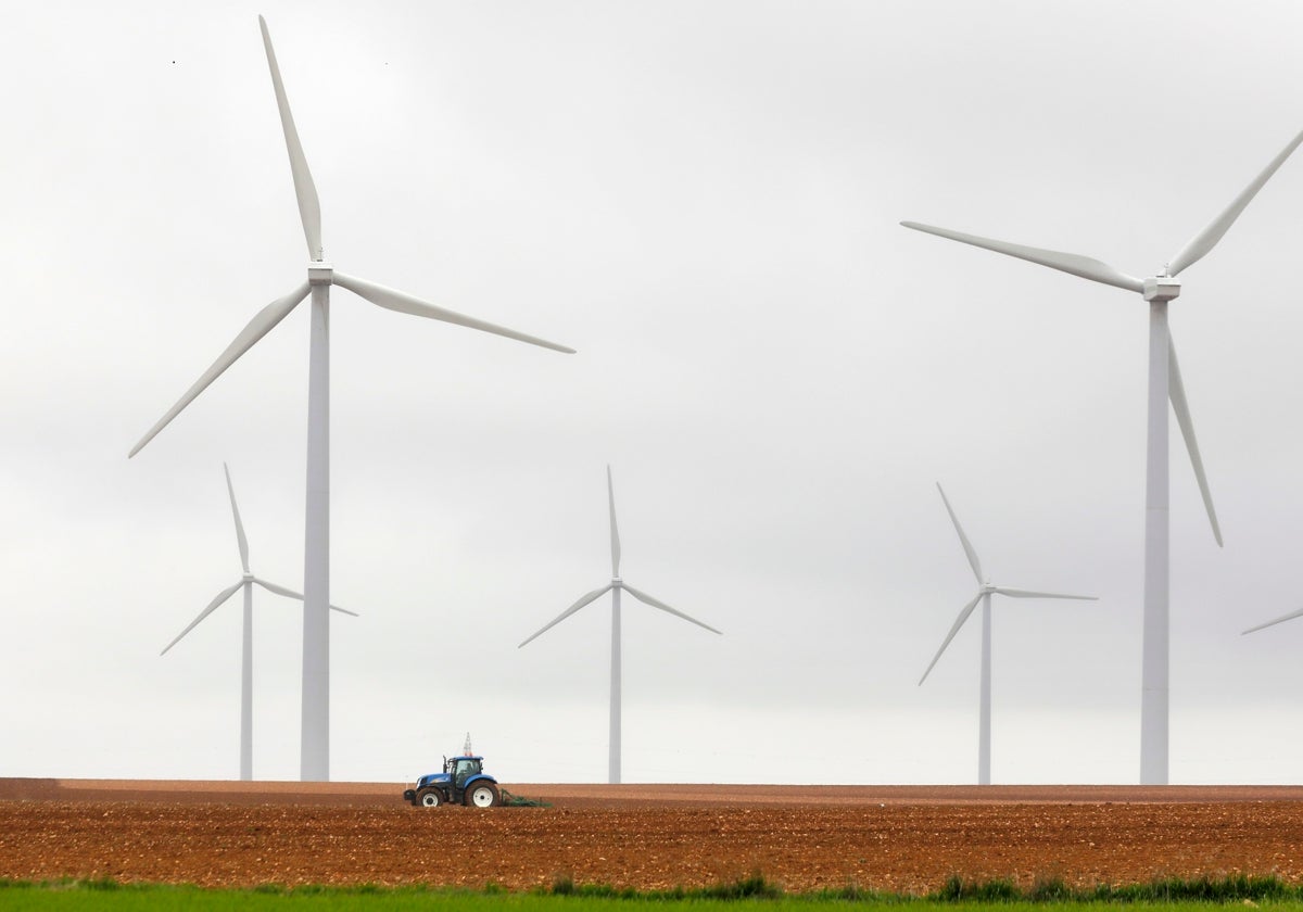 Parque eólico de Iberdrola.