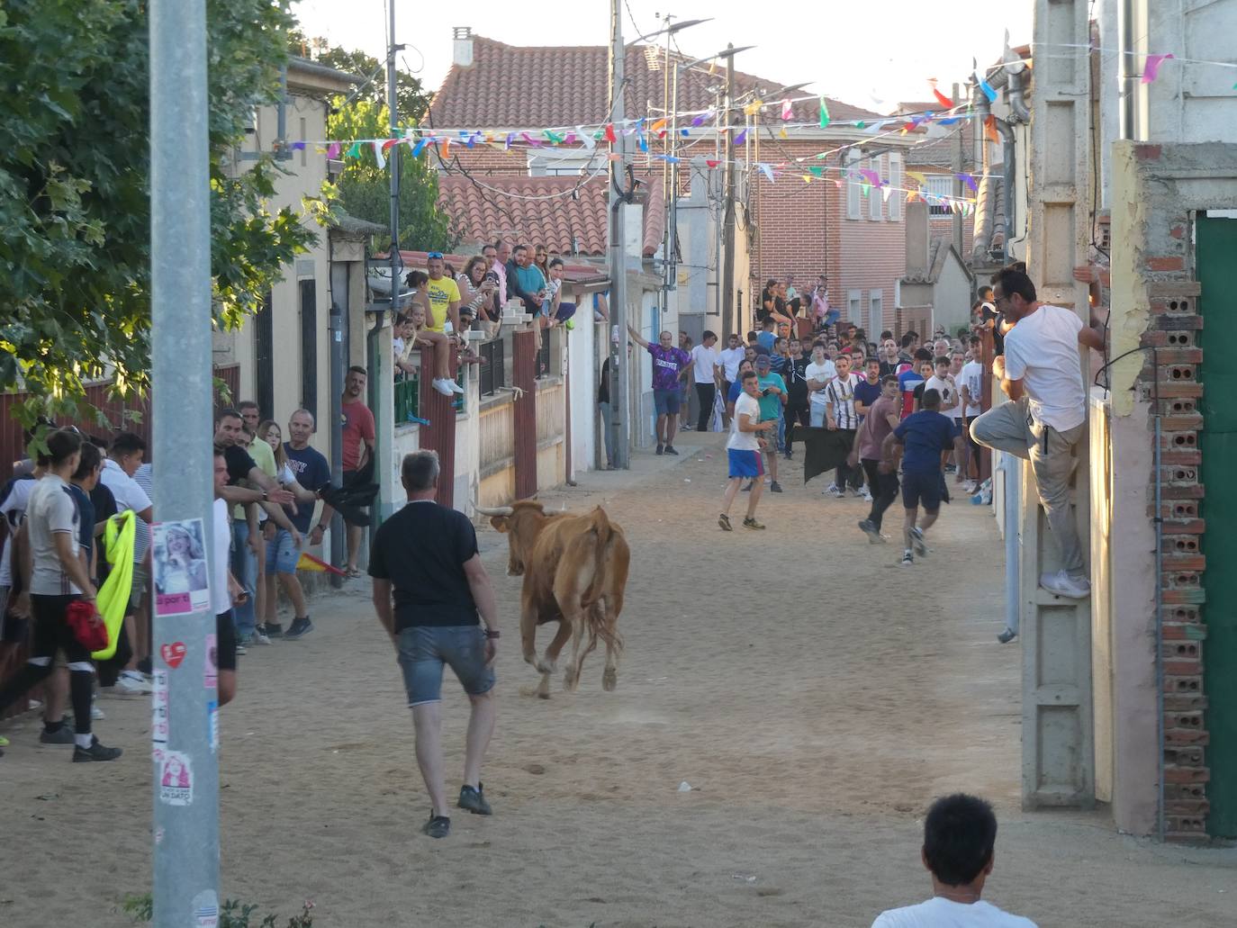 Multitudinario segundo encierro en Villaflores