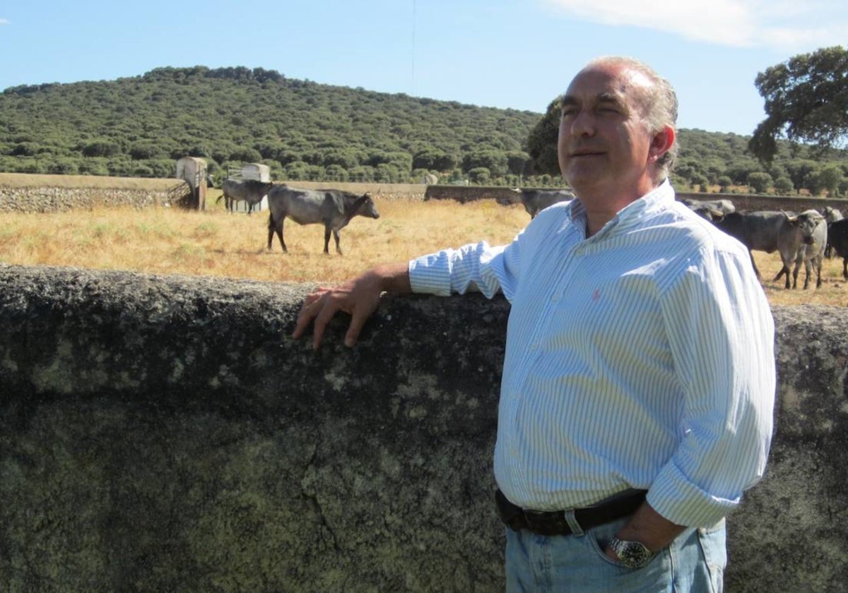 Jesús Castaño, presidente de Asociación Nacional de Criadores de Ganado Vacuna de Raza Morucha.