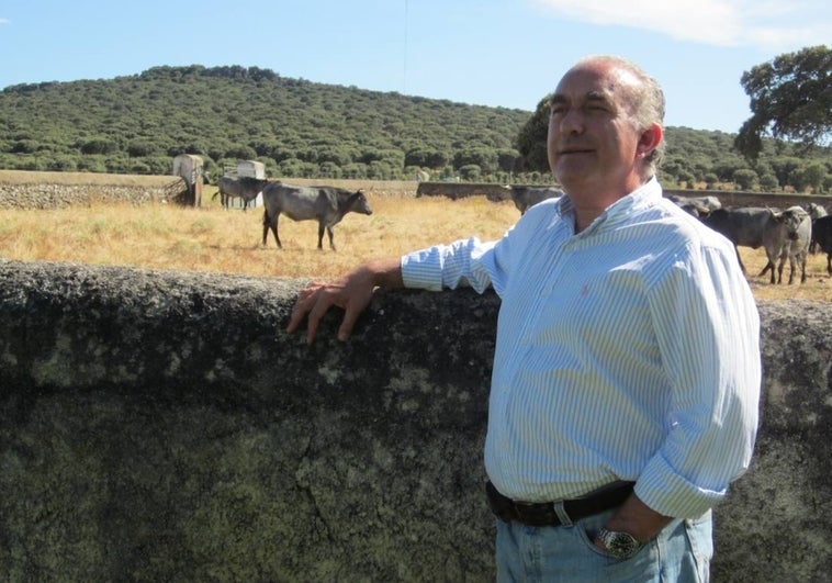 «La situación sanitaria exige nuevas soluciones»