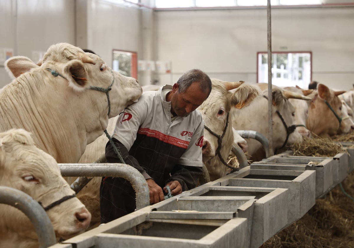 Feria del Sector Agropecuario.