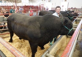 Feria del sector agropecuario Salamaq.